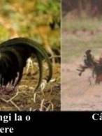 Când ajungi și când pleci de la o petrecere - poza demo