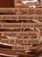 Veste bună pentru iubitorii de ciocolată - poza demo