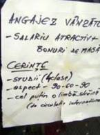 Anunț de angajat vânzătoare - poza demo