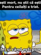 Moartea-i ca prostia - poza demo