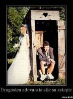 Dragostea adevarata stie sa astepte - poza demo