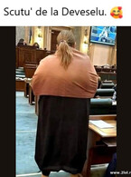 Scutu de la Deveselu - poza demo