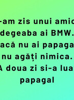 Degeaba ai BMW - poza demo