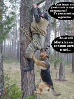 Nu toți câinii pică în capcana cu mâncarea - poza demo