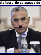 Cateodata - poza demo