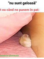 Nu sunt geloasa. Tot ea cand ne punem in pat - poza demo