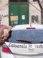 Coloanele ie veata mea - poza demo