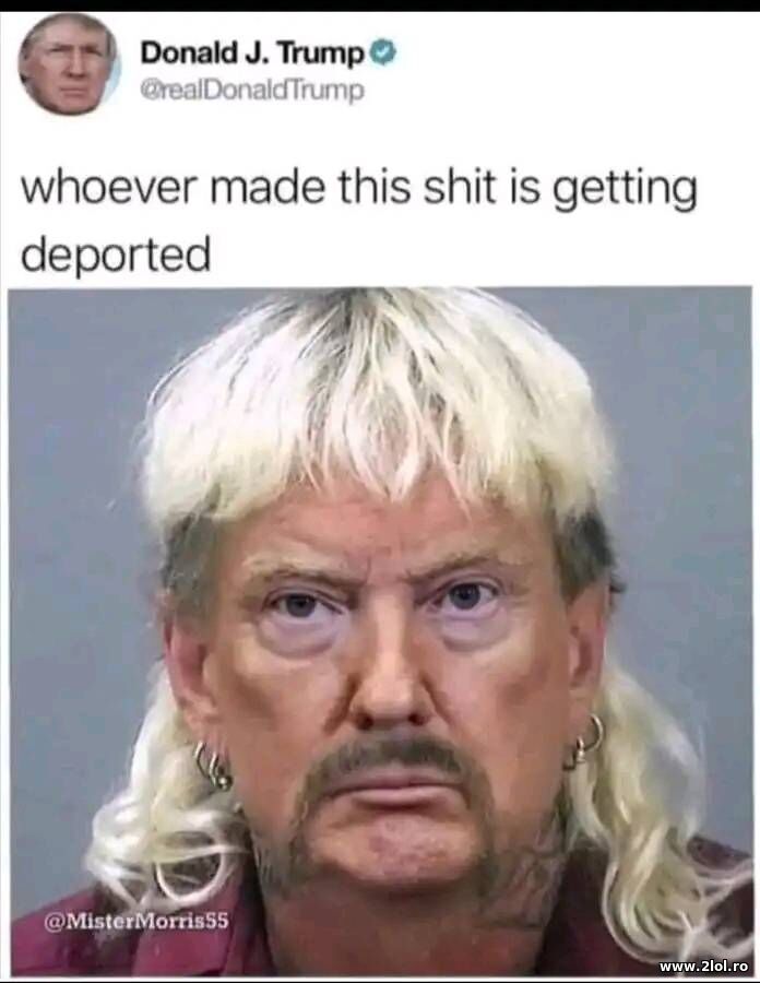 Whoever made this | poze haioase