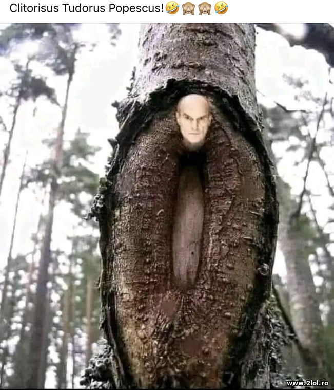 Clitorius Tudorus Popescus | poze haioase