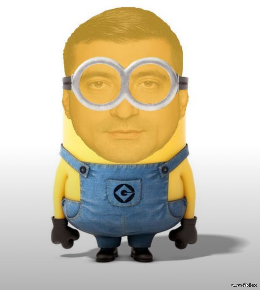 George Minion | poze haioase