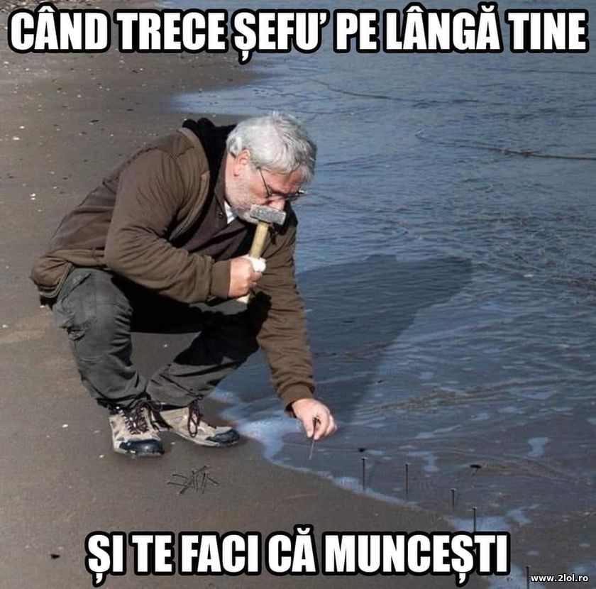 Cand trece sefu pe langa tine si te faci ca munces | poze haioase