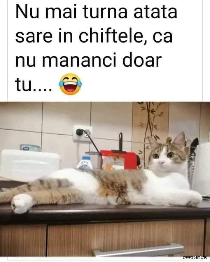 Nu mai turna atata sare in chiftele | poze haioase