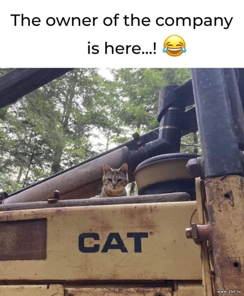 Owner of the company | poze haioase