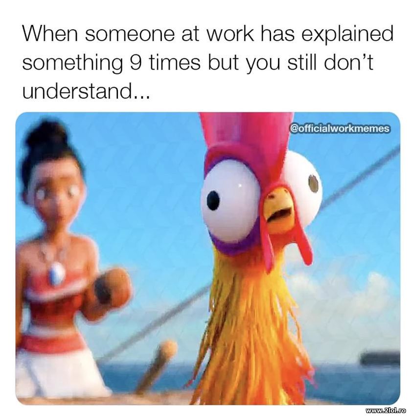 When someone at work explained something 9 times | poze haioase