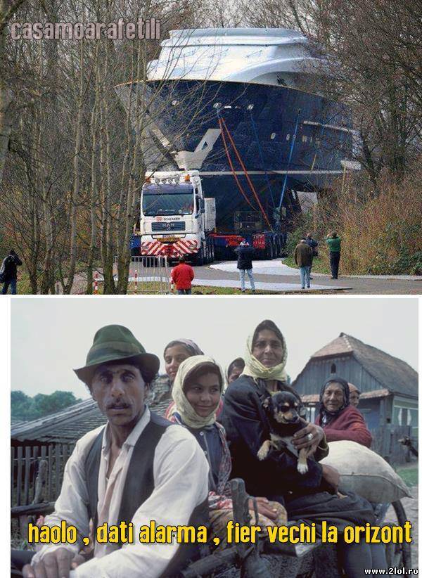 Vor doar să dea o mână de ajutor | poze haioase