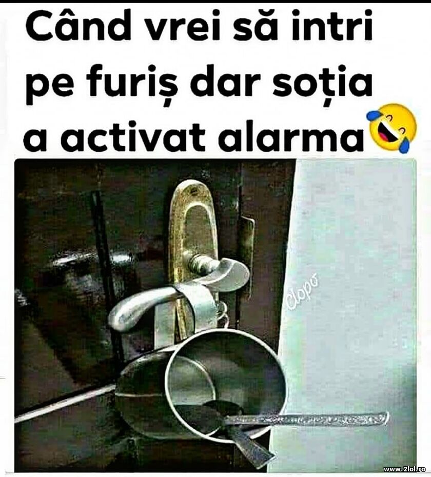 Sotia a activat alarma | poze haioase