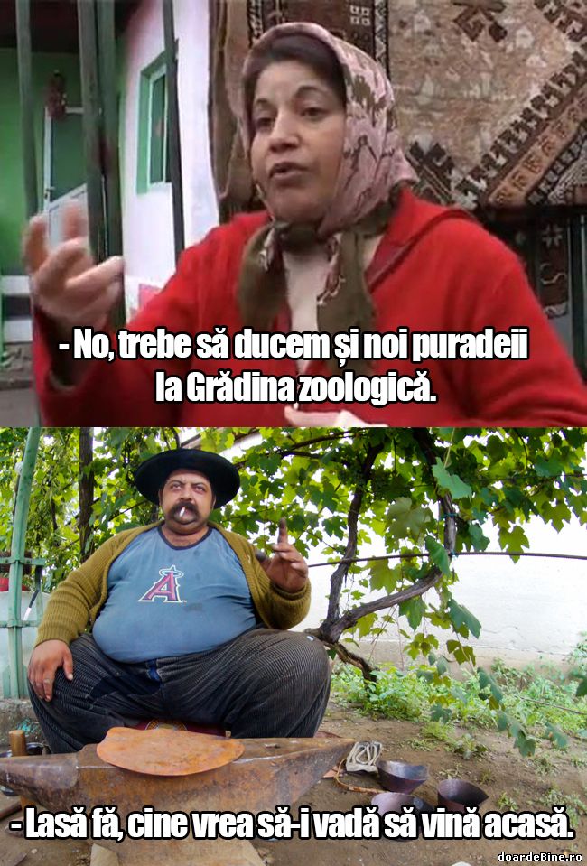 Ei să vină la țigani, nu invers | poze haioase