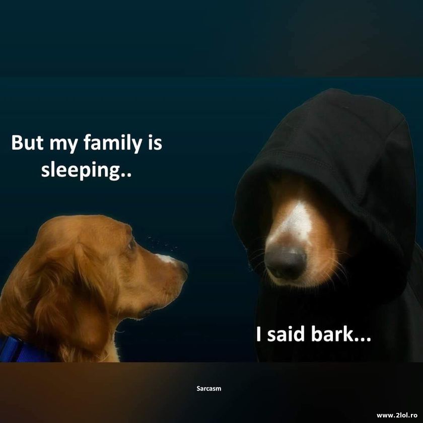 But my family is sleeping | poze haioase
