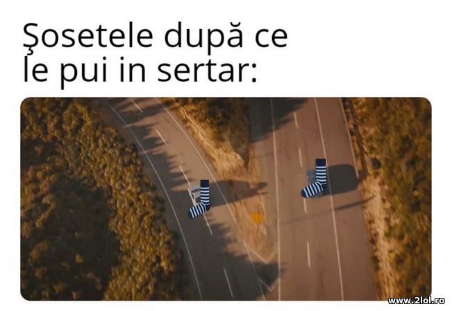Sosetele dupa ce le pui in sertar | poze haioase