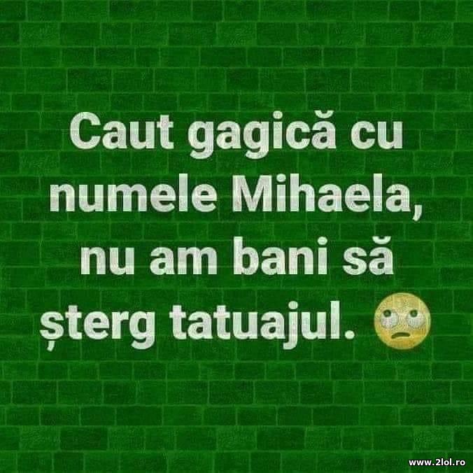 Caut gagica cu numele Mihaela | poze haioase