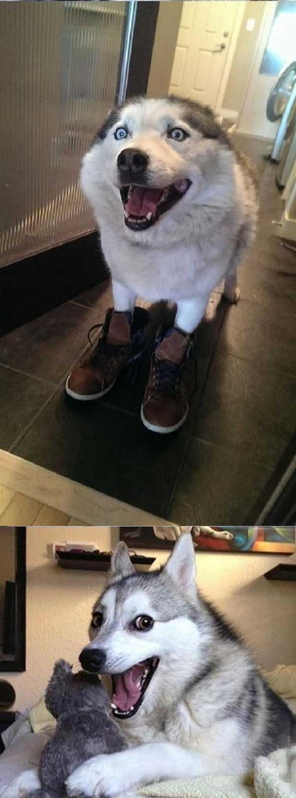 Fața copiilor, de Moș Nicolae | poze haioase