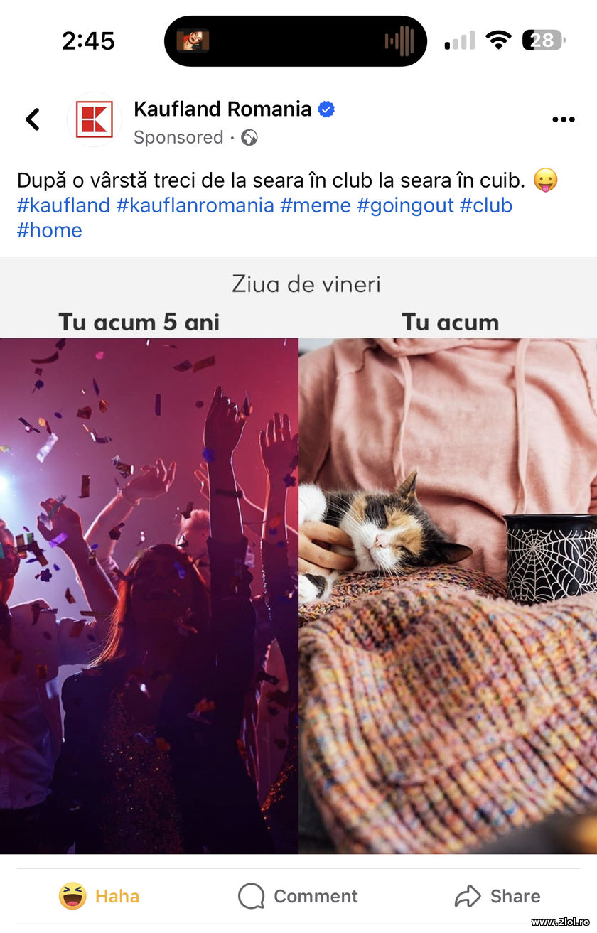 Dupa o varsta treci de la seara in club la cuib | poze haioase