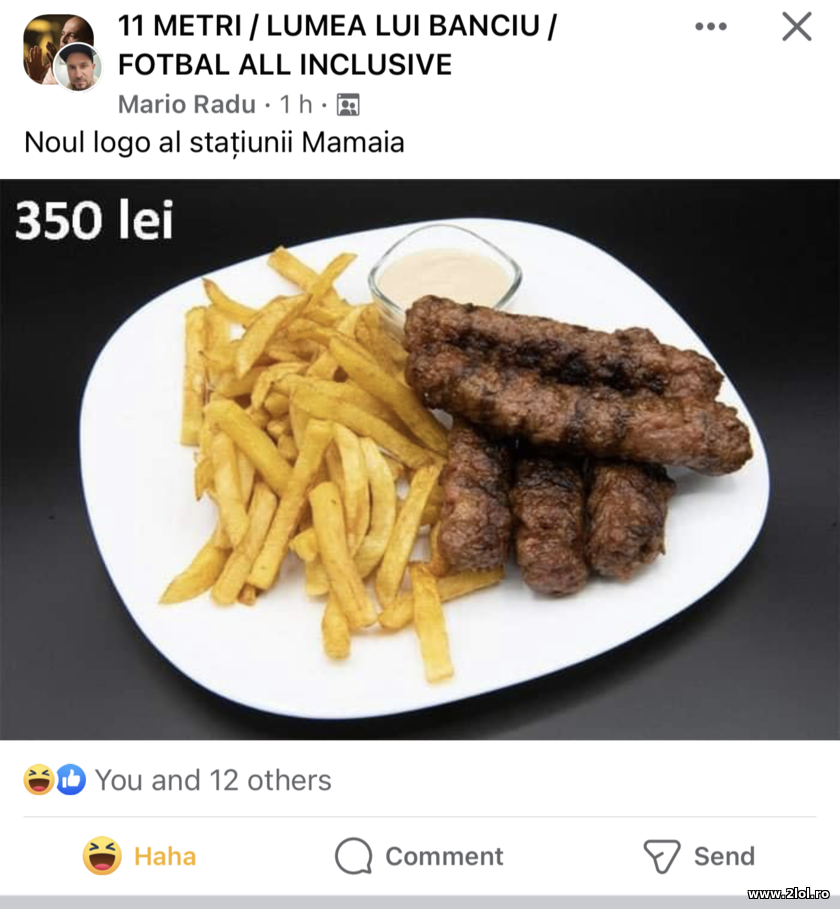 Noul logo al statiunii Mamaia | poze haioase