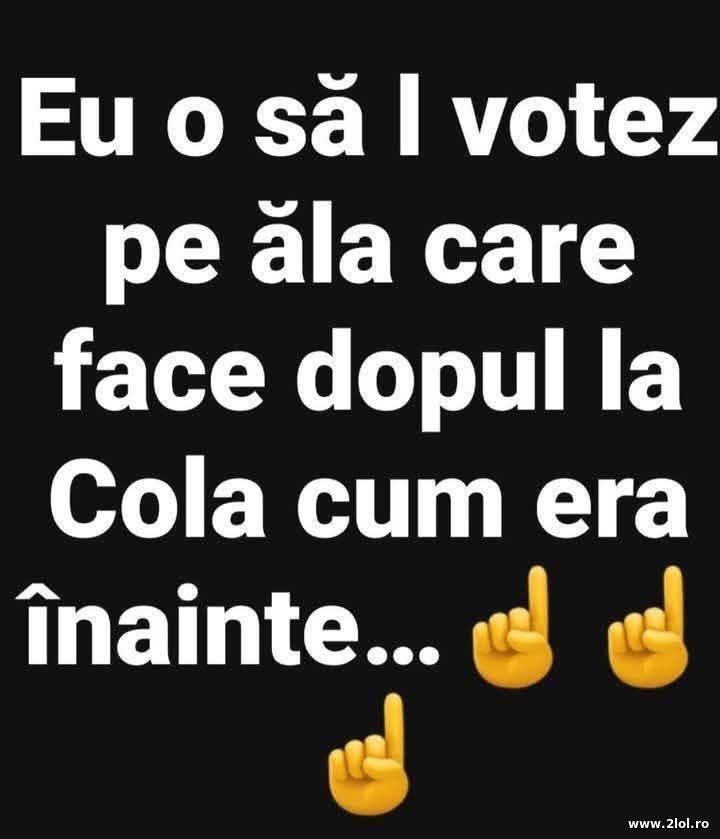 Eu o sa-l votez | poze haioase