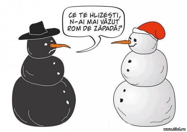 Tu ai văzut până acum un rom de zăpadă? | poze haioase