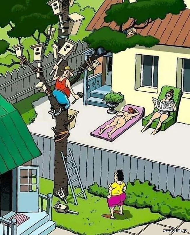 Lui ii place sa tot munceasca in acelasi loc | poze haioase