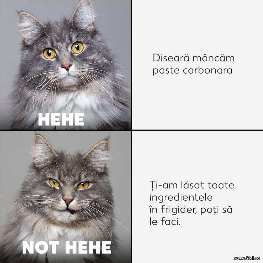 Diseara mancam carbonara | poze haioase