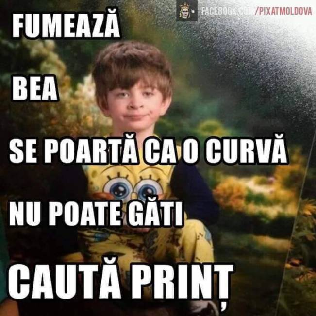 N-are pretenţii | poze haioase