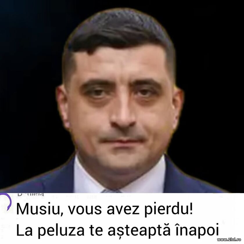 Inapoi la peluza | poze haioase