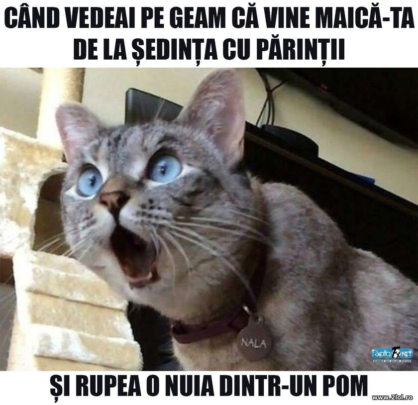 Cand vedeai pe geam | poze haioase