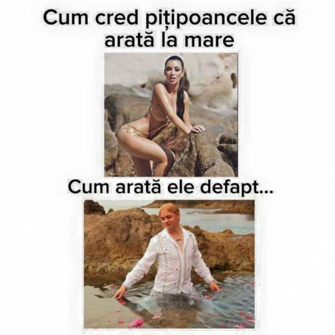 Cum cred piţipoancele că arată la mare | poze haioase