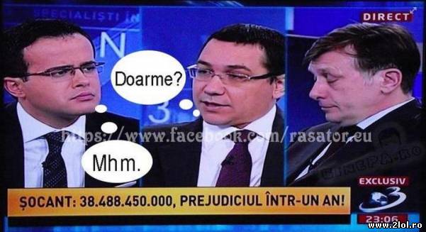 Niciodata nu strica un pui de somn | poze haioase