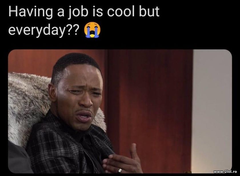 Having a job is cool but everyday? | poze haioase