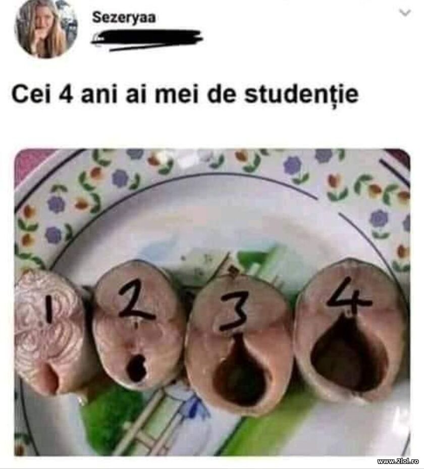 Cei 4 ani de studentie | poze haioase