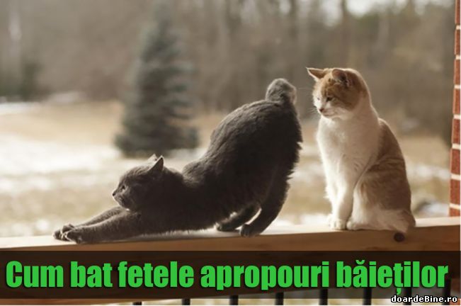 Cum bat fetele apropouri băieților | poze haioase