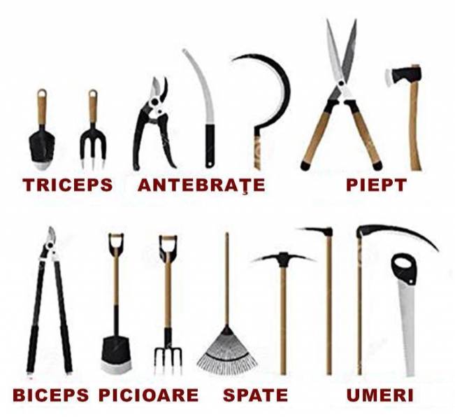 Antrenament românesc pentru grupe musculare | poze haioase