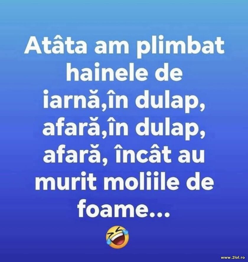 Hainele de iarna | poze haioase