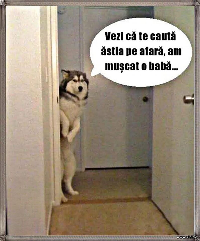 Vezi ca te cauta | poze haioase