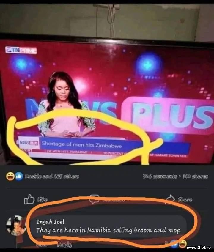 They are here in Namibia | poze haioase