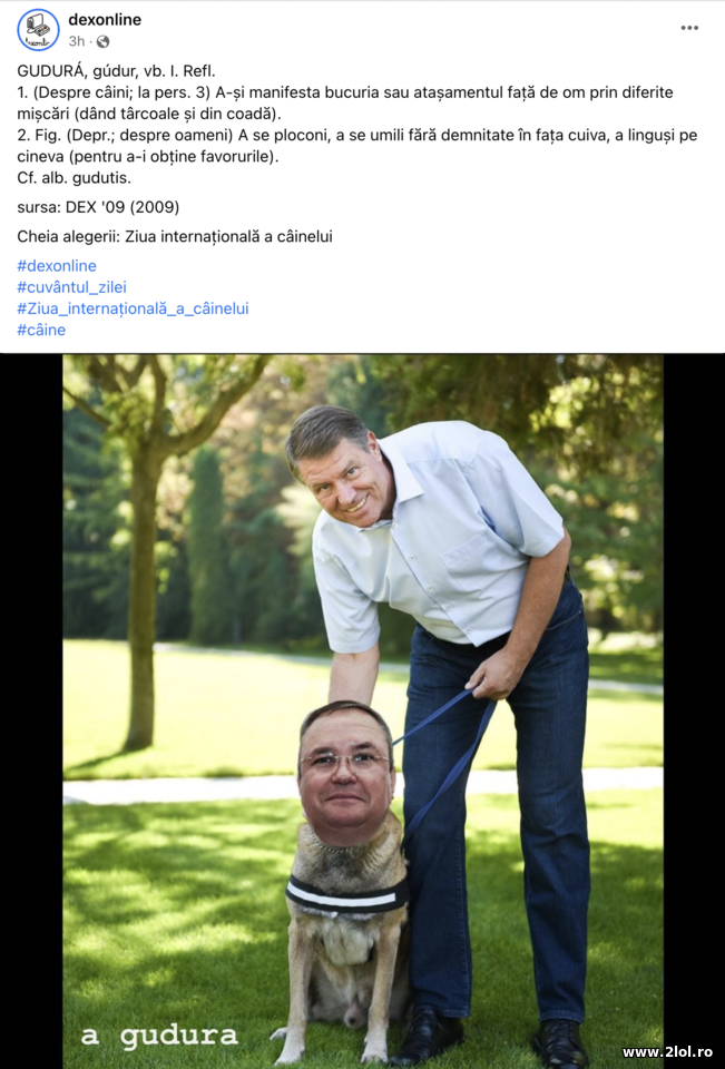 A gudura | poze haioase