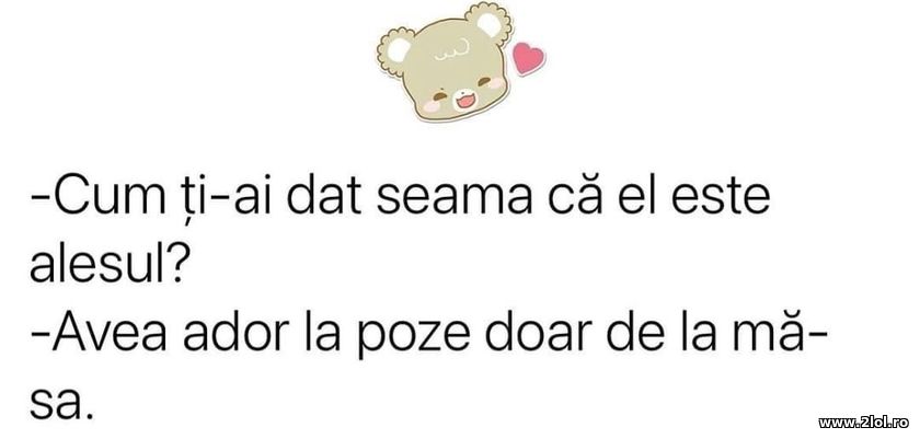 Cum ti-ai dat seama ca el e alesul? | poze haioase