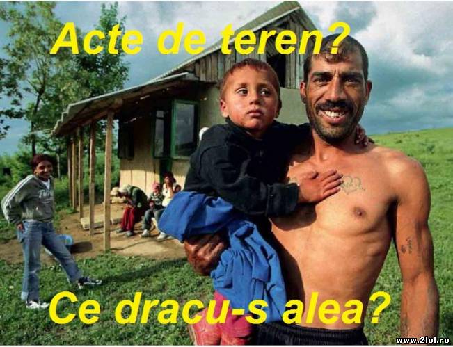 Pământul e al tuturor | poze haioase