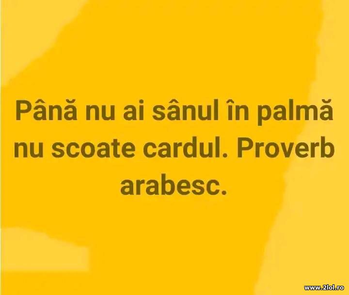 Pana nu ai sanul in palma | poze haioase