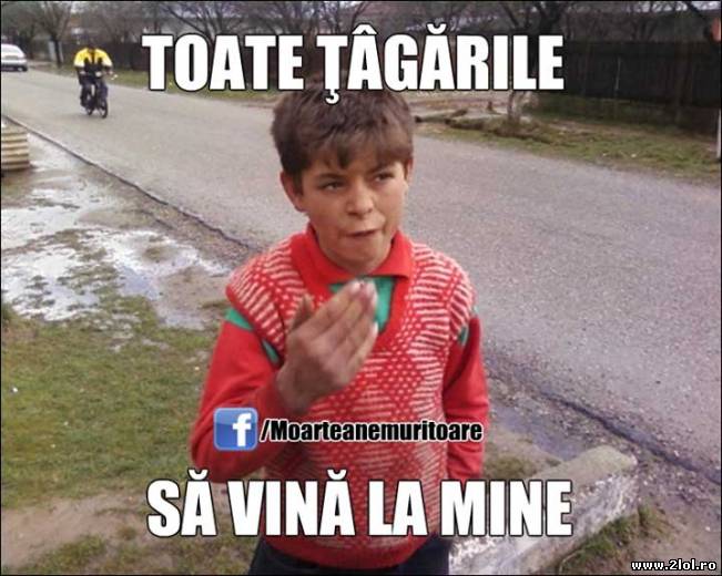 Toate tâgările să vină la el | poze haioase