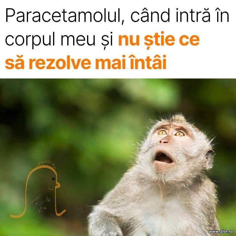 Paracetamolul | poze haioase
