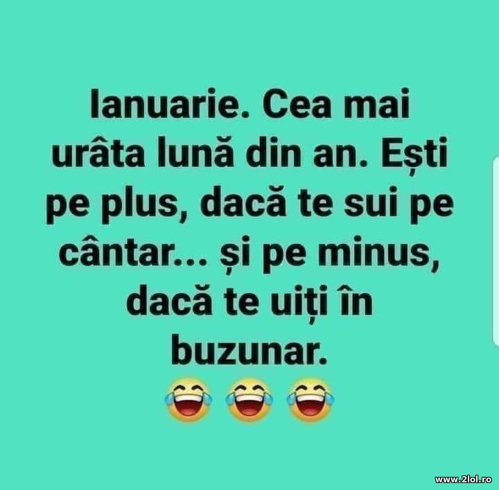 Ianuarie. Cea mai urata luna din an | poze haioase